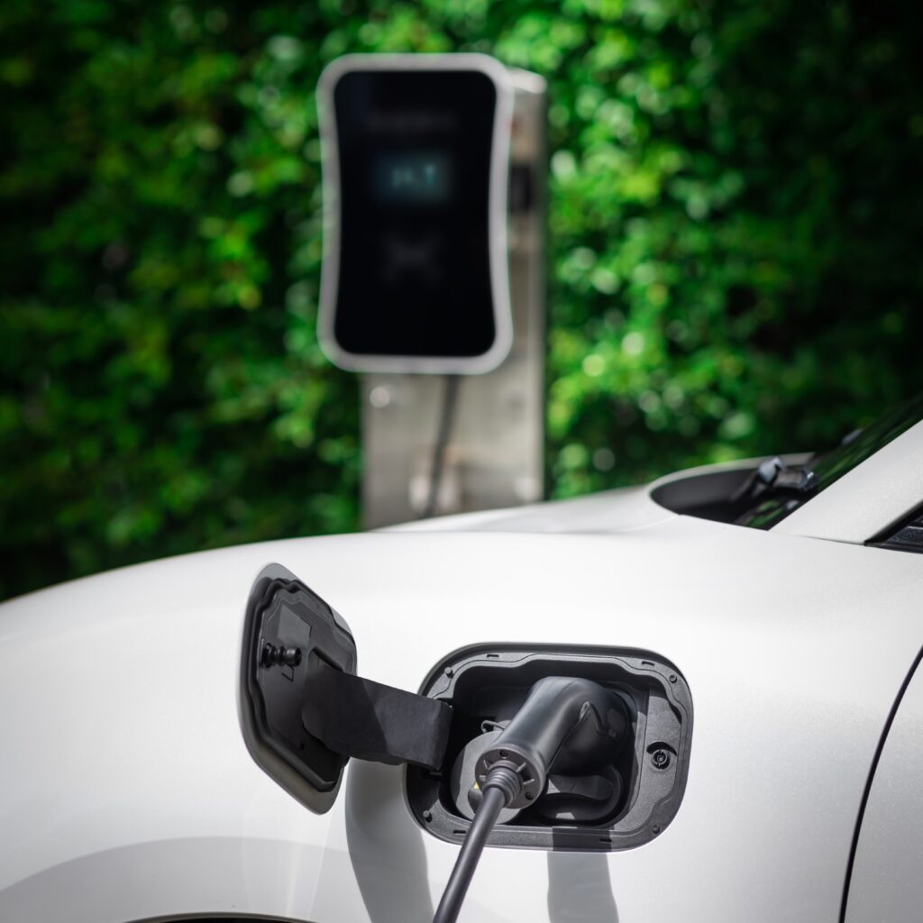 ElectricUp 2